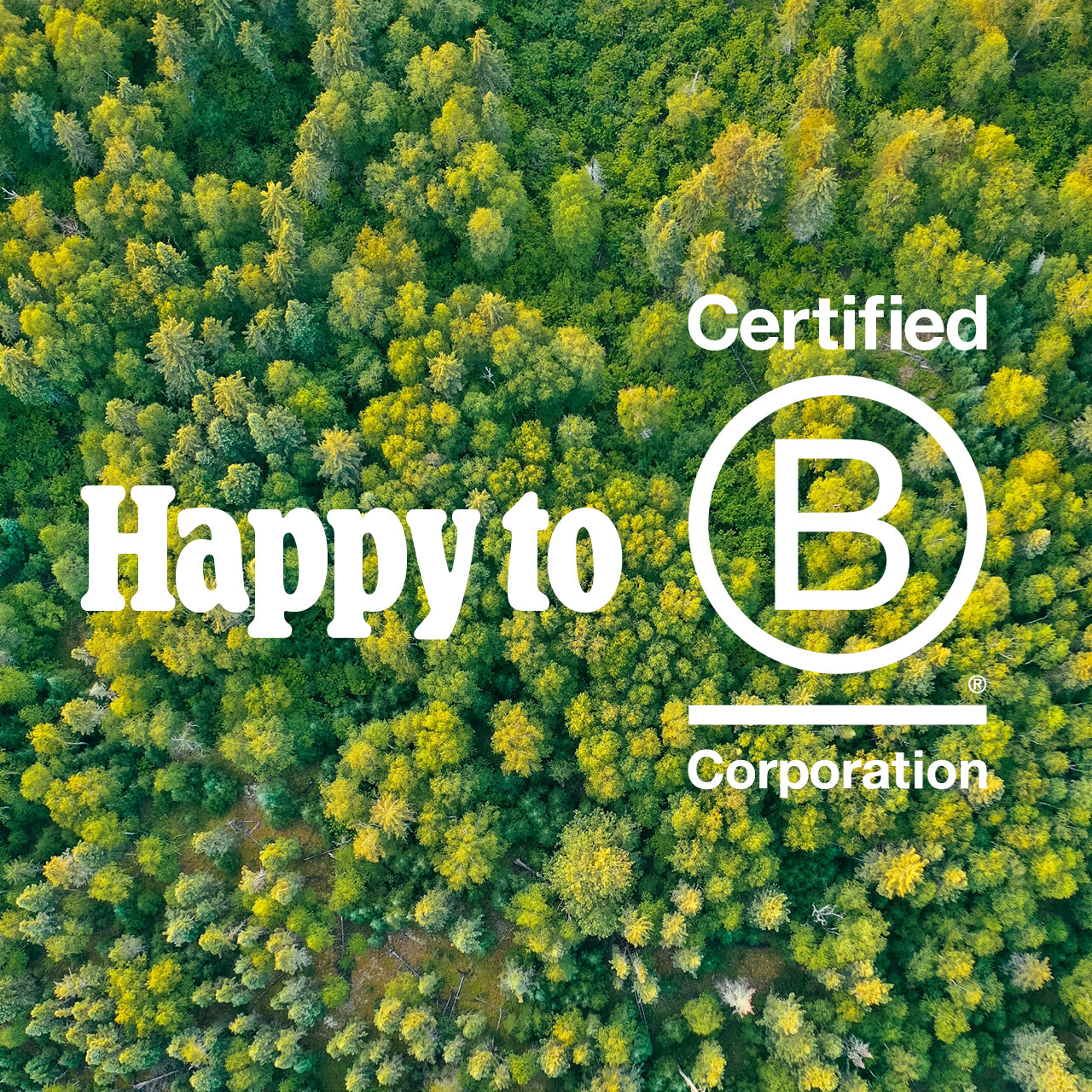Planted Receives B Corp Certification