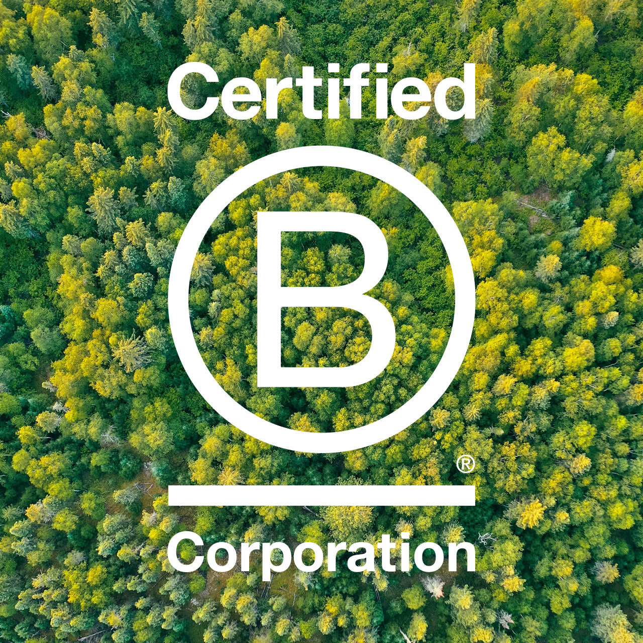 Planted erhält B Corp Zertifizierung
